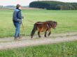 Lilli vorbereiten auf das Fahren 01.jpg